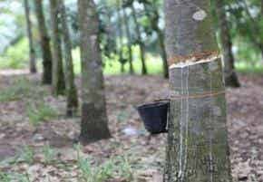 橡膠機械網(wǎng)