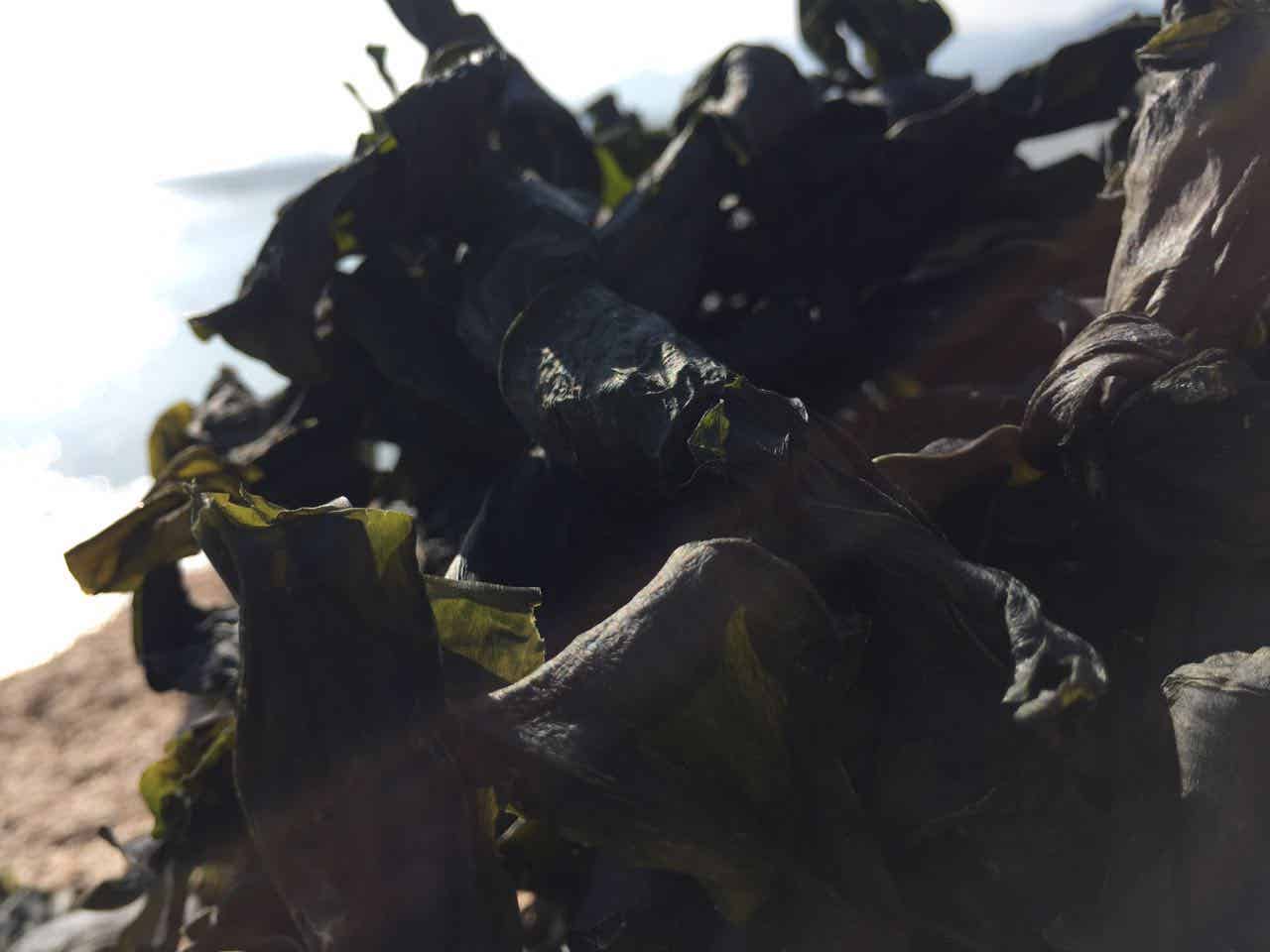 提供頭水紫菜海帶等各種海鮮干貨