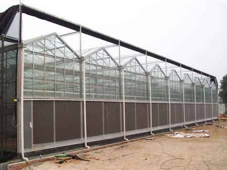 【誠薦】陽光板大棚公司|日照陽光板大棚