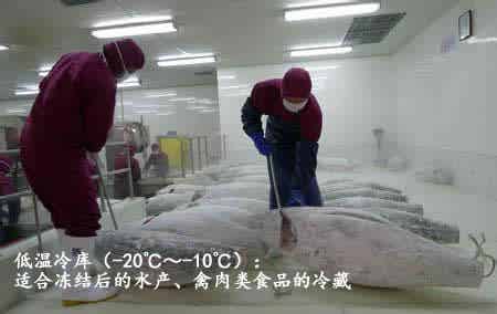 廣東具有口碑的海鮮食品低溫冷庫出租 海鮮食品低溫冷庫出租價位